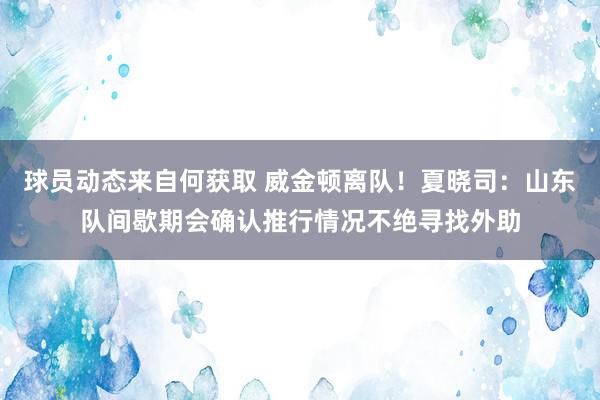 球员动态来自何获取 威金顿离队！夏晓司：山东队间歇期会确认推行情况不绝寻找外助