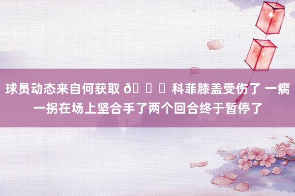 球员动态来自何获取 😐科菲膝盖受伤了 一瘸一拐在场上坚合手了两个回合终于暂停了