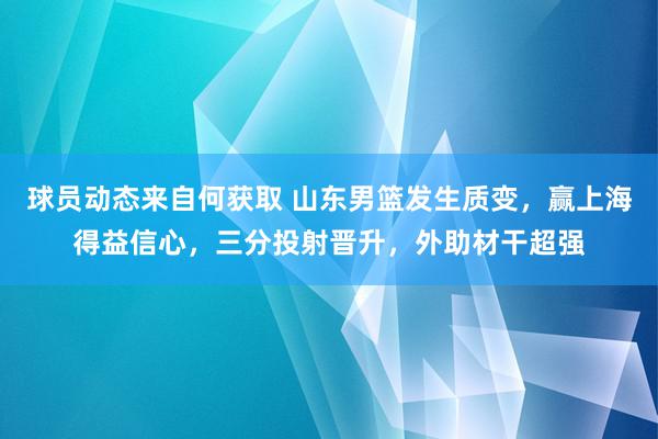 球员动态来自何获取 山东男篮发生质变，赢上海得益信心，三分投射晋升，外助材干超强