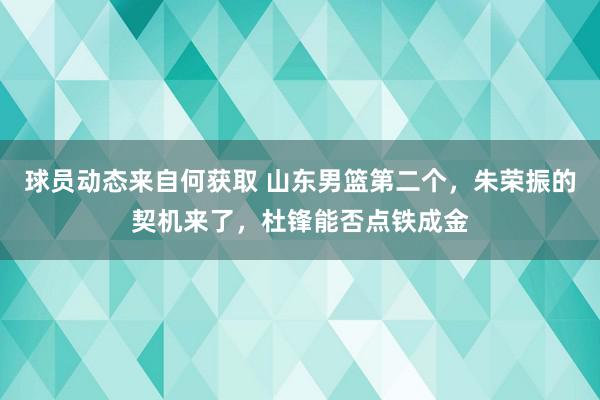 球员动态来自何获取 山东男篮第二个，朱荣振的契机来了，杜锋能否点铁成金