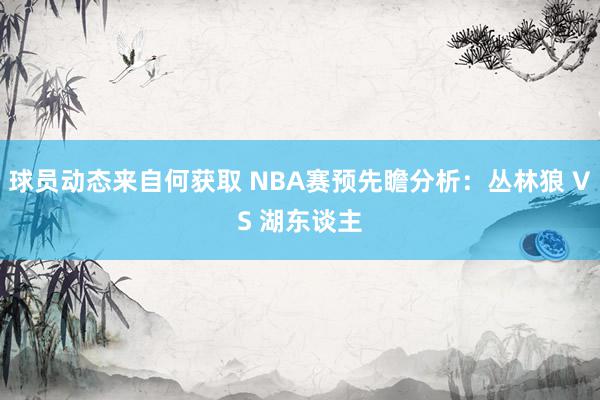 球员动态来自何获取 NBA赛预先瞻分析：丛林狼 VS 湖东谈主