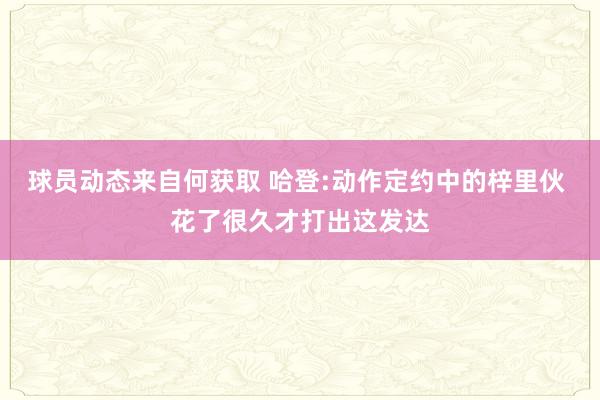 球员动态来自何获取 哈登:动作定约中的梓里伙 花了很久才打出这发达