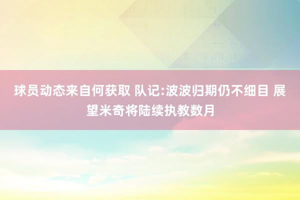 球员动态来自何获取 队记:波波归期仍不细目 展望米奇将陆续执教数月