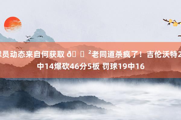 球员动态来自何获取 😲老同道杀疯了！吉伦沃特24中14爆砍46分5板 罚球19中16