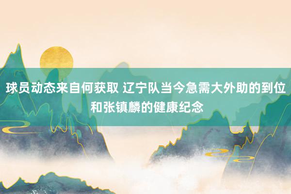 球员动态来自何获取 辽宁队当今急需大外助的到位 和张镇麟的健康纪念