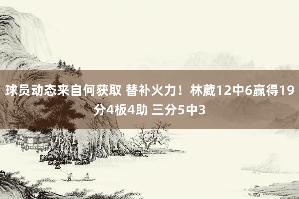 球员动态来自何获取 替补火力！林葳12中6赢得19分4板4助 三分5中3