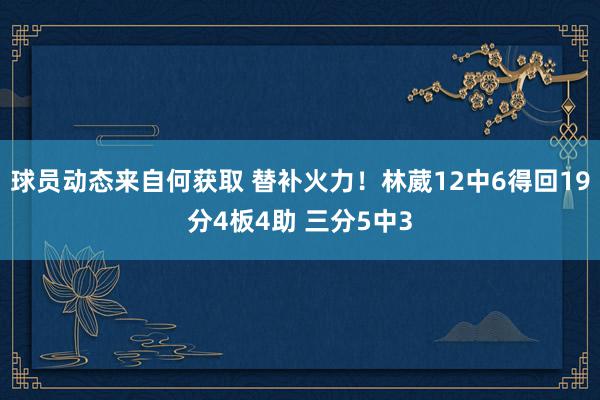 球员动态来自何获取 替补火力！林葳12中6得回19分4板4助 三分5中3