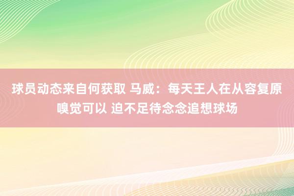 球员动态来自何获取 马威：每天王人在从容复原嗅觉可以 迫不足待念念追想球场