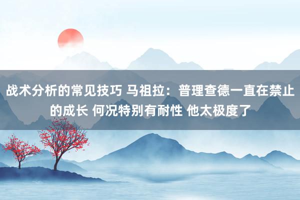 战术分析的常见技巧 马祖拉：普理查德一直在禁止的成长 何况特别有耐性 他太极度了