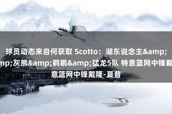 球员动态来自何获取 Scotto：湖东说念主&快船&灰熊&鹈鹕&猛龙5队 特意篮网中锋戴隆-夏普