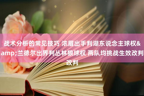 战术分析的常见技巧 浓眉出手判湖东说念主球权&兰德尔出界判丛林狼球权 两队均挑战生效改判