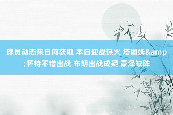 球员动态来自何获取 本日迎战热火 塔图姆&怀特不错出战 布朗出战成疑 豪泽缺阵