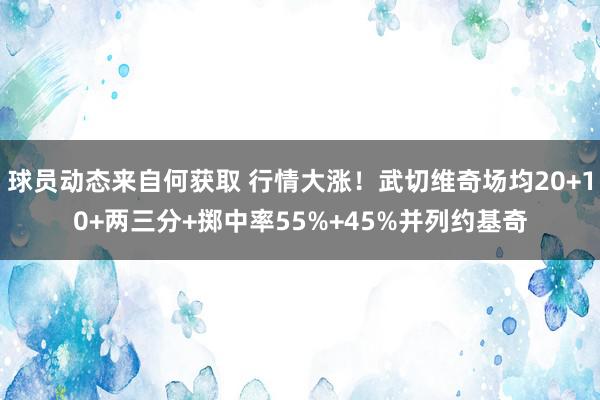 球员动态来自何获取 行情大涨！武切维奇场均20+10+两三分+掷中率55%+45%并列约基奇